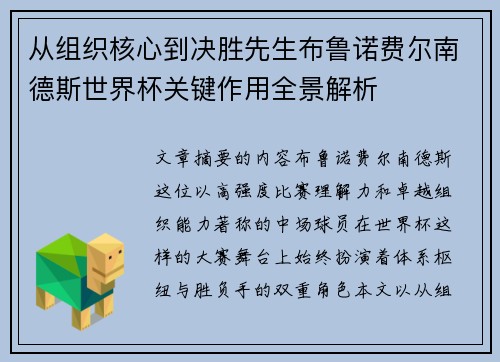 从组织核心到决胜先生布鲁诺费尔南德斯世界杯关键作用全景解析